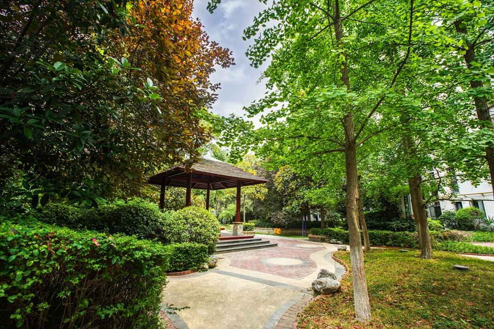 亚洲第一狼人伊人av