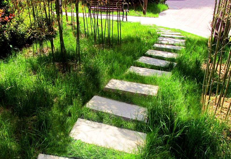 亚洲第一狼人伊人av