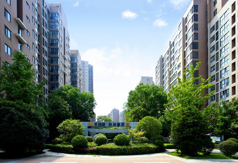 亚洲第一狼人伊人av