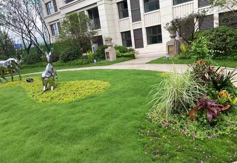 亚洲第一狼人伊人av