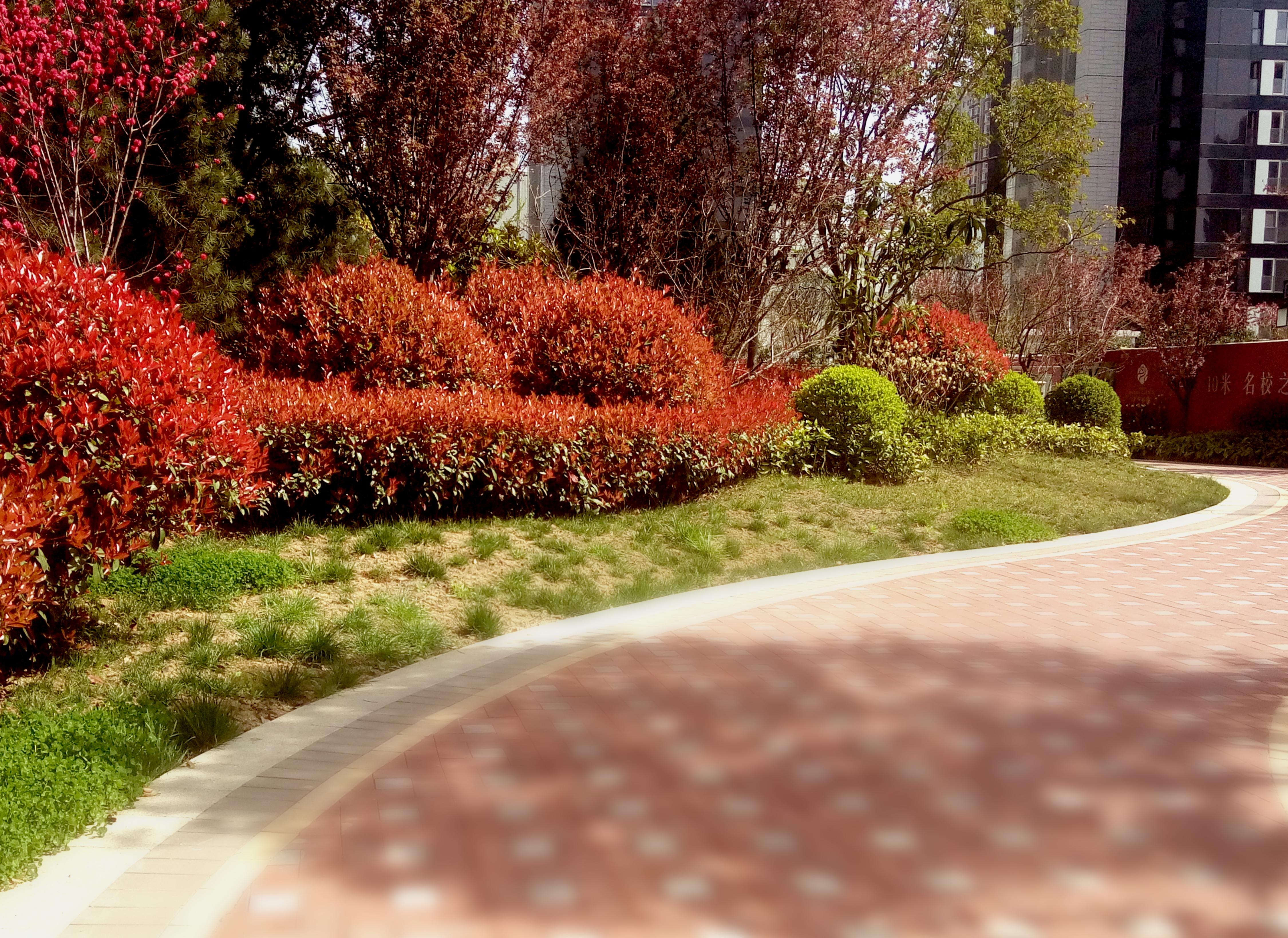 亚洲第一狼人伊人av