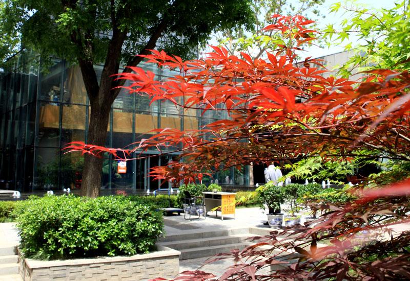 亚洲第一狼人伊人av