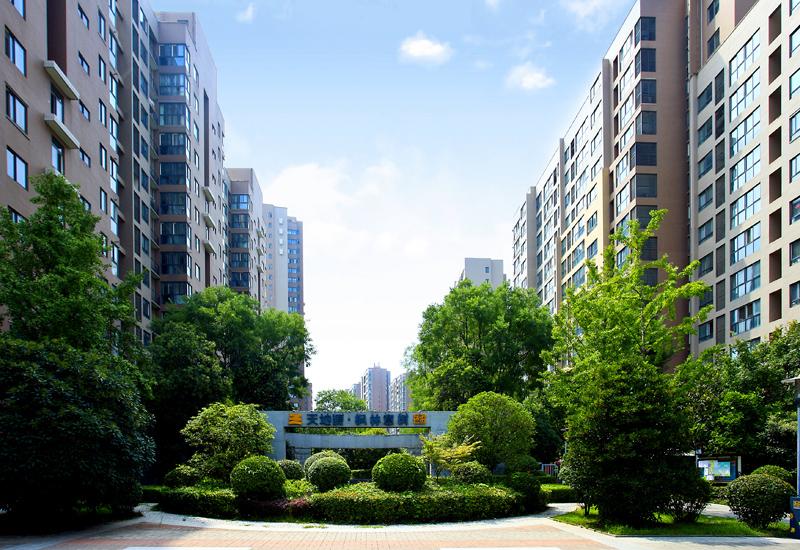 亚洲第一狼人伊人av