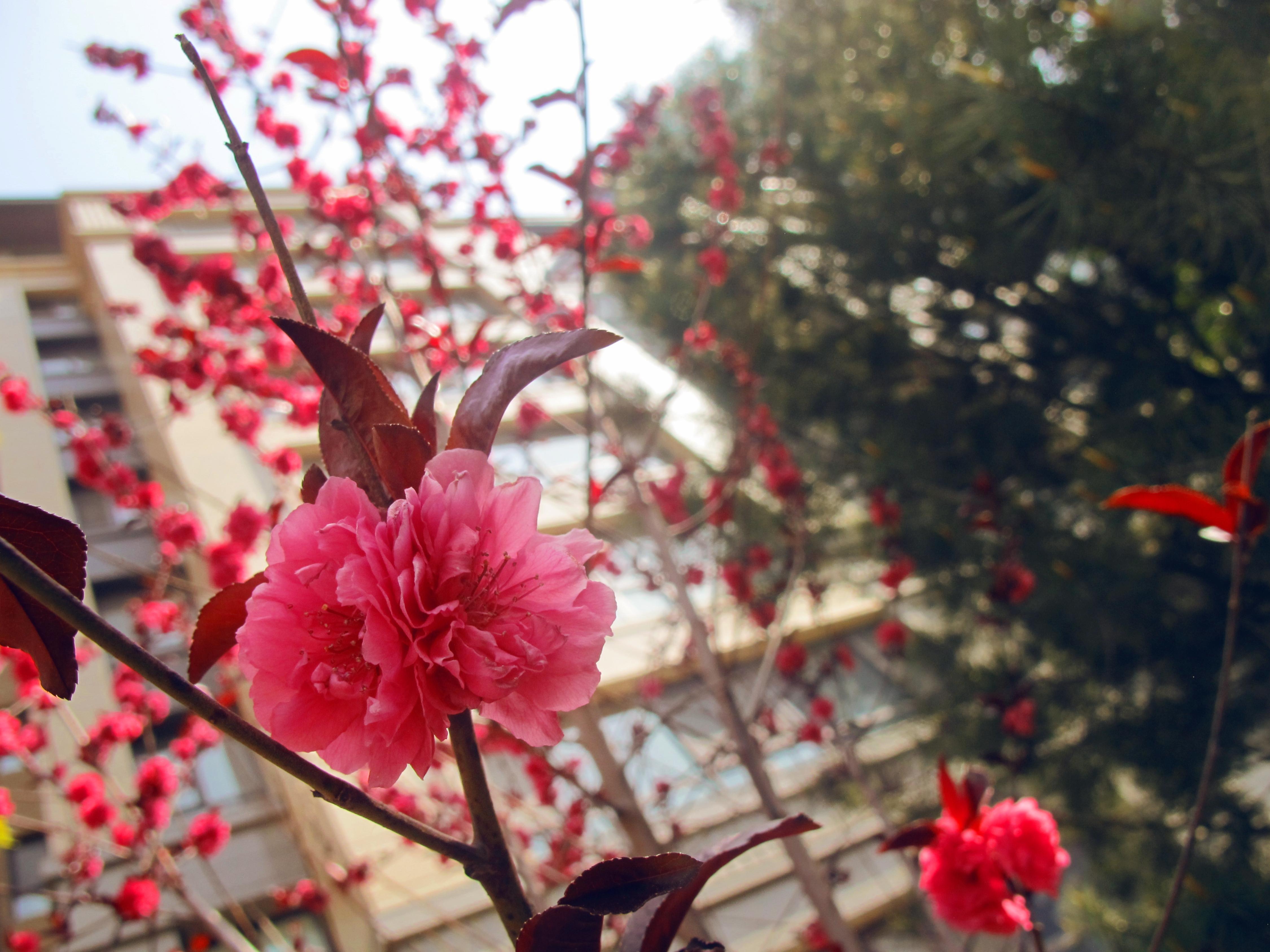 亚洲第一狼人伊人av