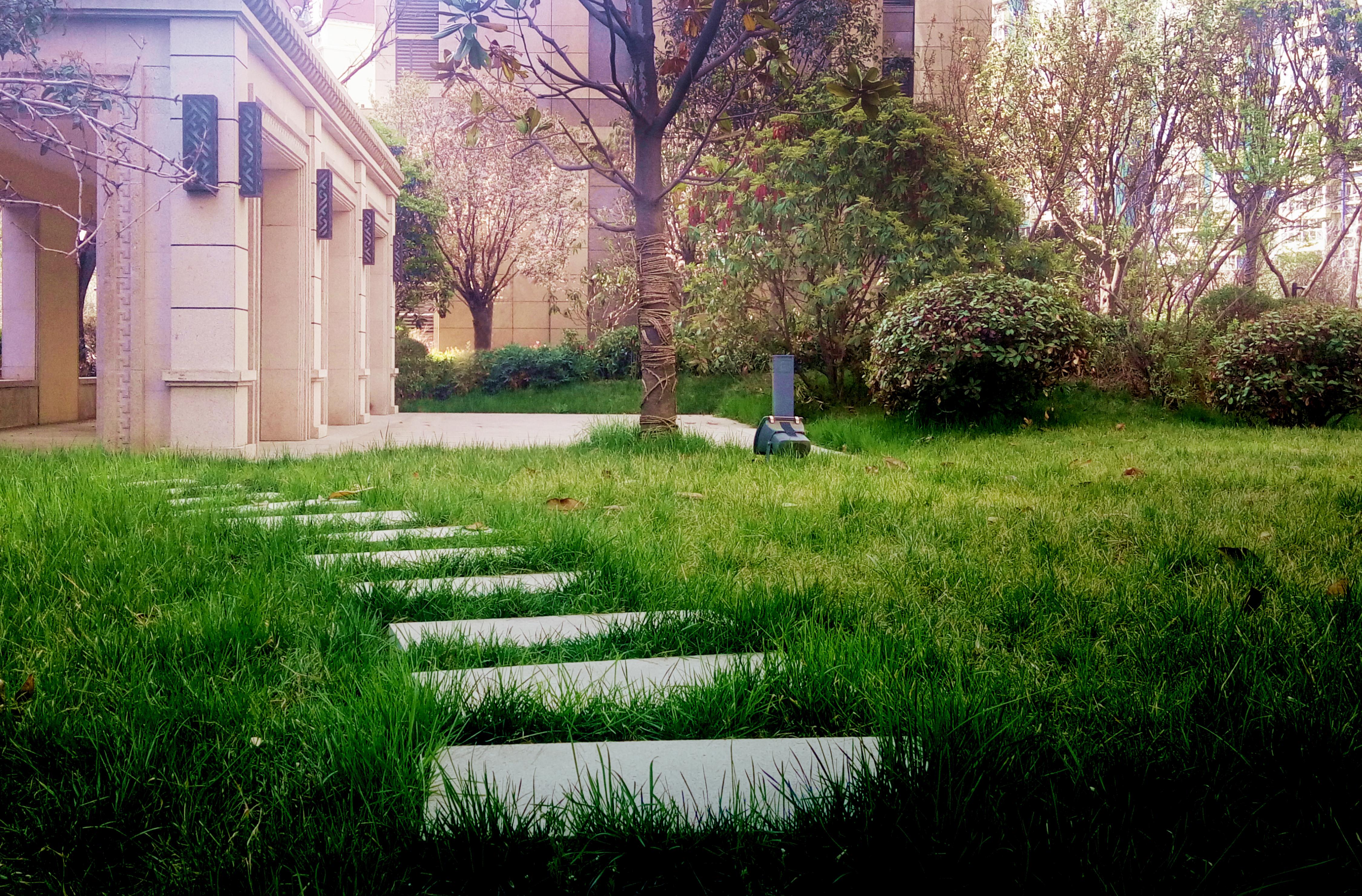 亚洲第一狼人伊人av