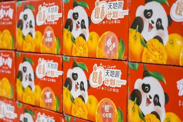 191702978364211688.jpeg 2.jpg