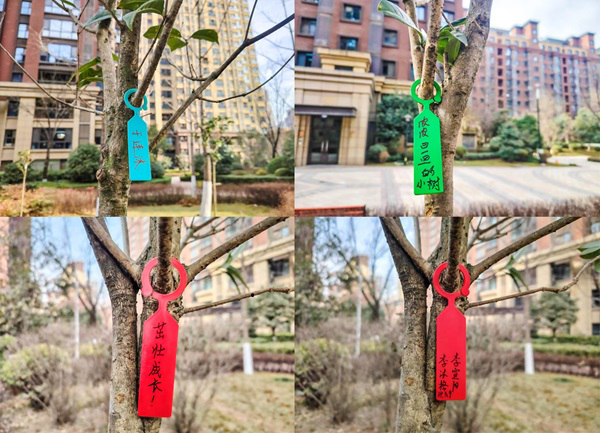 131710316249106730.png 6.png