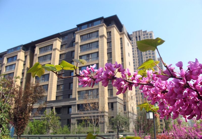 亚洲第一狼人伊人av