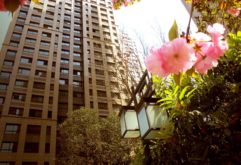 亚洲第一狼人伊人av