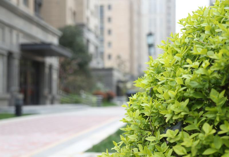 亚洲第一狼人伊人av