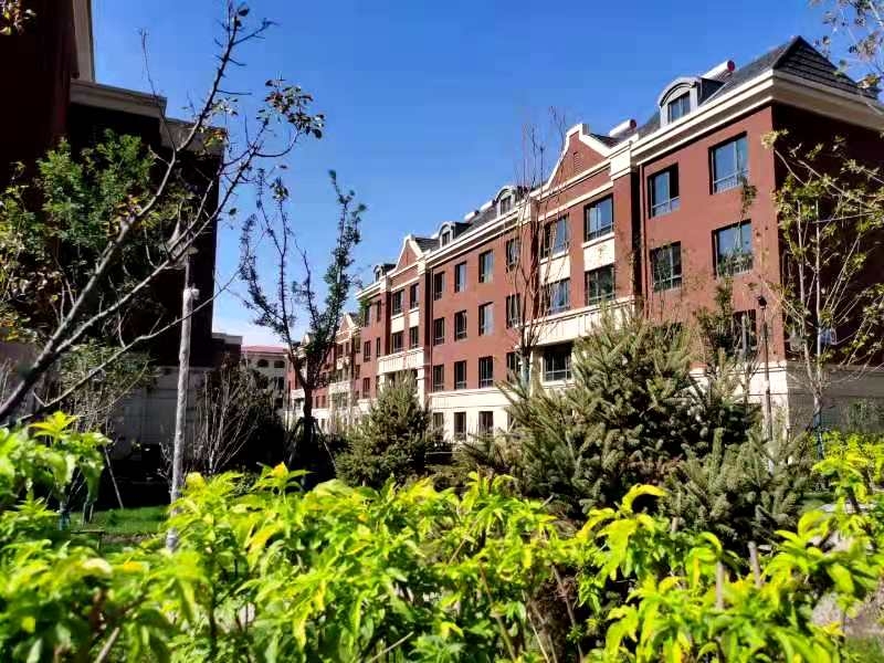 亚洲第一狼人伊人av