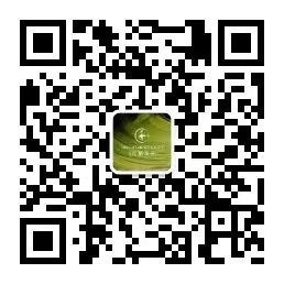 亚洲第一狼人伊人av